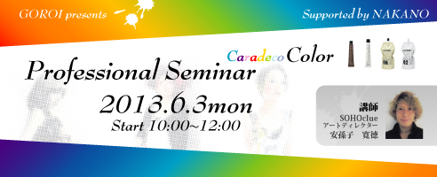 Caradeco Color Professional Seminar(F6310F00`12F00AFGOROIX^WI)